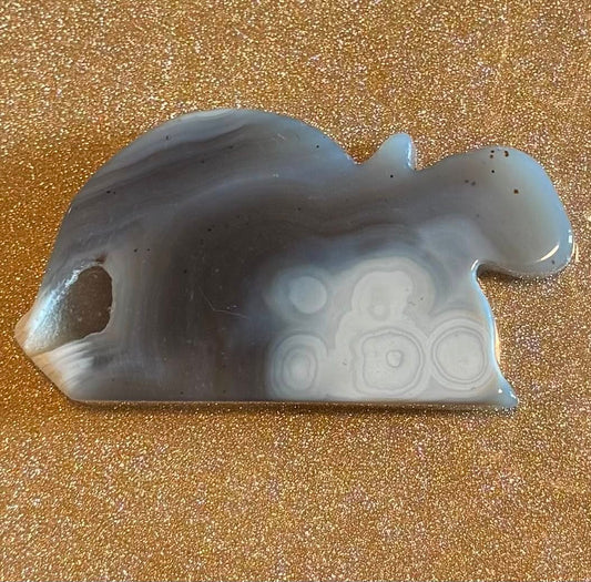 Agate Turtle Slice