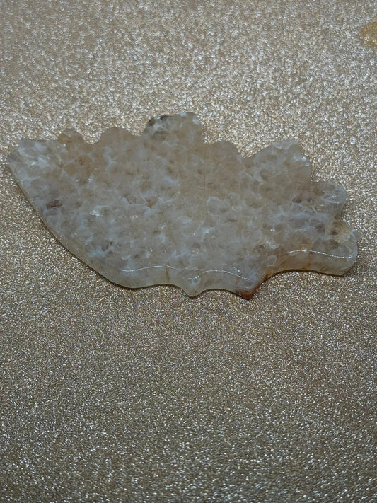 Agatized Coral Slice