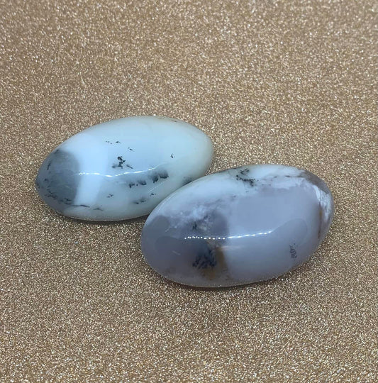 Dendritic Opal Palm Stone