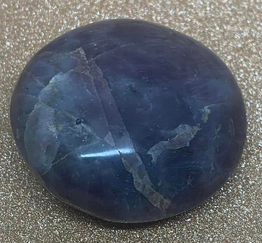 Petrified Wood Stone Palm Stones